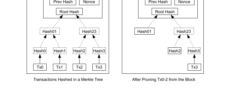 Transactions hashed in a Merkle tree (left); after pruning Tx0-2 (right)